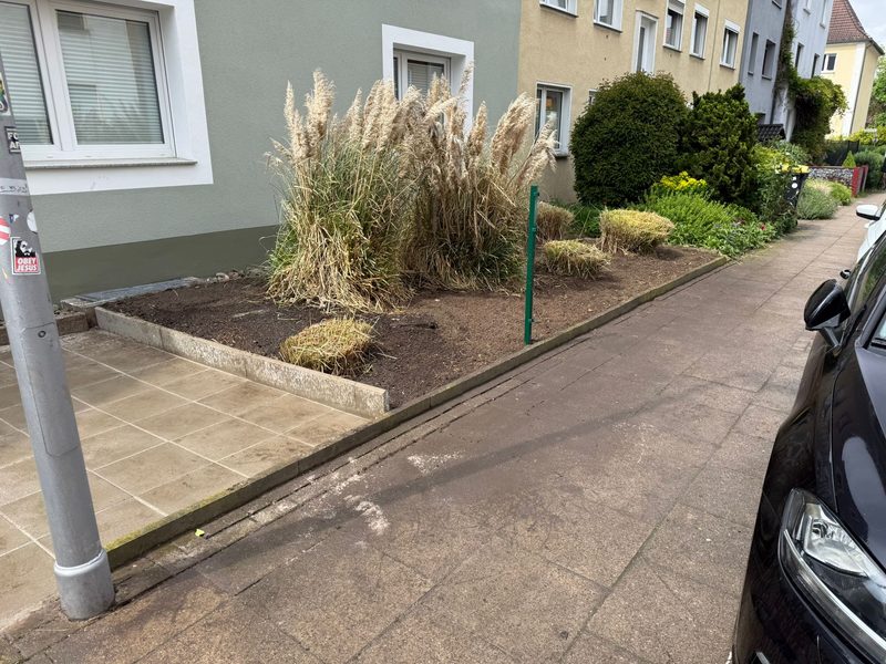Nachher — Vorgartenpflege — Bielefeld (Übersicht)